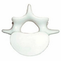 Vertebrae Squeezies Stress Reliever